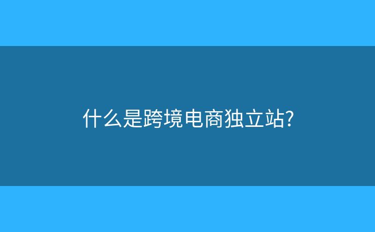 什么是跨境电商独立站?