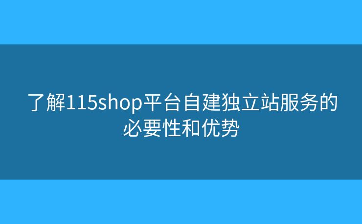 了解115shop平台自建独立站服务的必要性和优势
