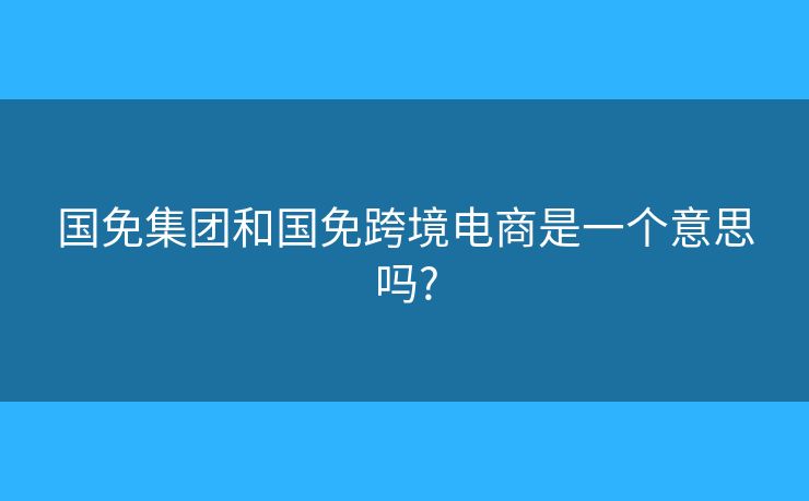 国免集团和国免跨境电商是一个意思吗?