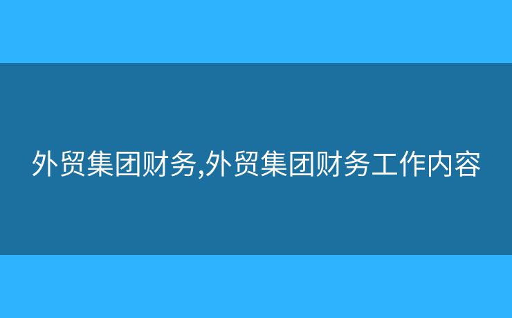 外贸集团财务,外贸集团财务工作内容