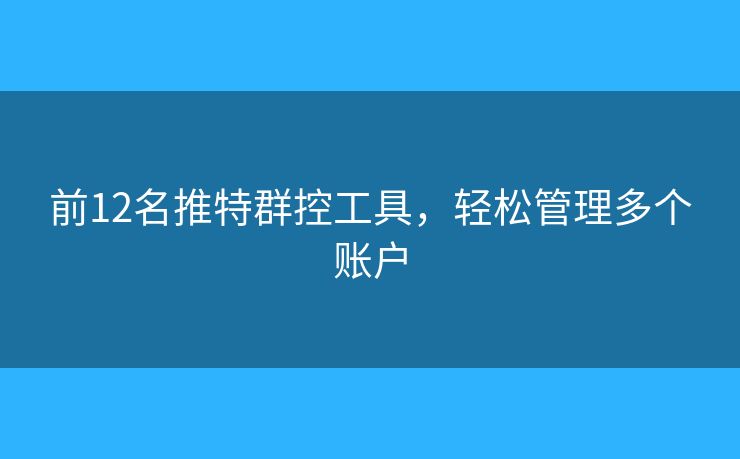 前12名推特群控工具，轻松管理多个账户