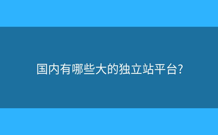 国内有哪些大的独立站平台? 国内有哪些大的独立站平台?